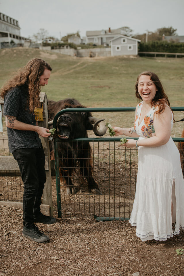 Going to a petting zoo for your elopement 